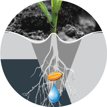 Fertilizer, micro granular, inoculants and herbicide application options | www.equalizer.co.za